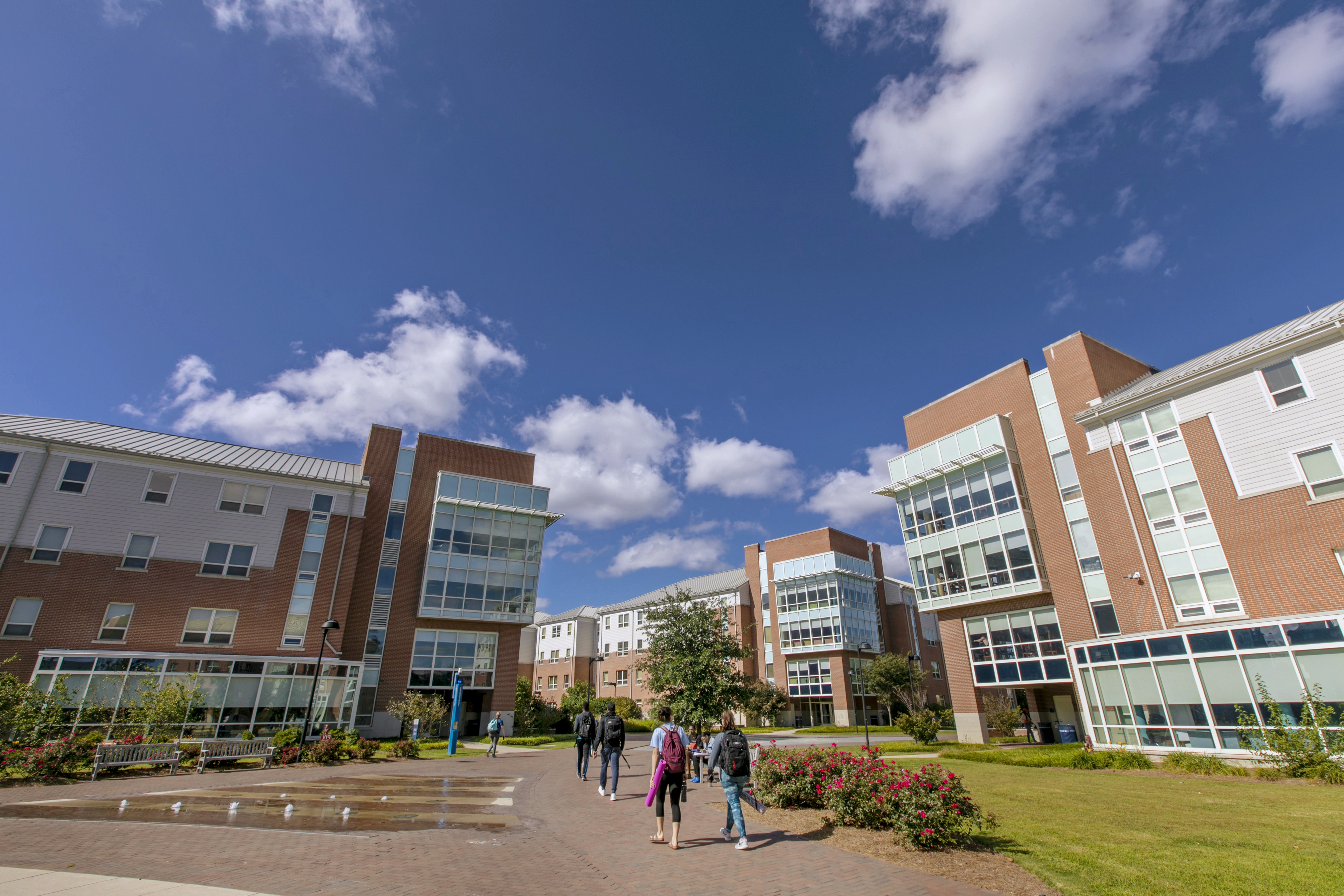 Students walking in quad.