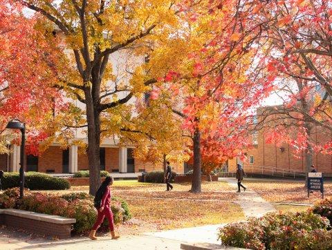 Leaves Change Colors on Campus